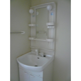 シャンプードレッサー