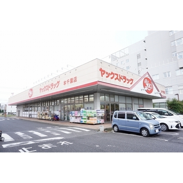 ヤックスドラッグ