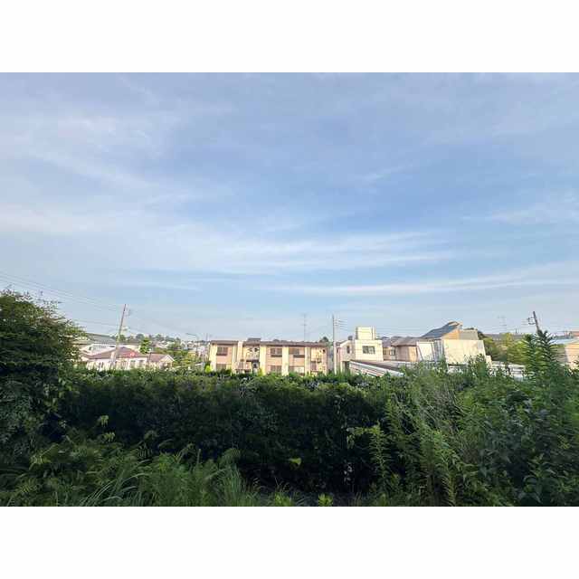 庭・眺望