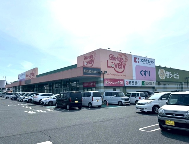 ココカラファイン平田店