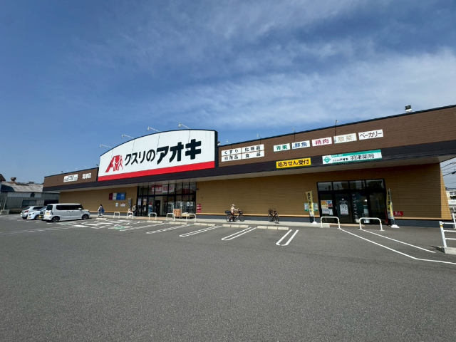 クスリのアオキ羽津店