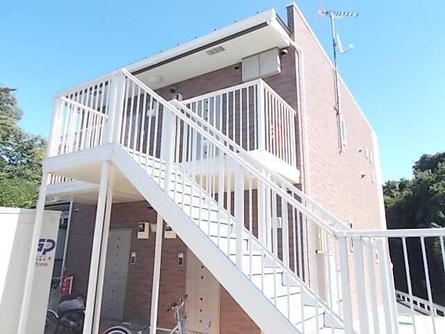 エクセル　ピュア