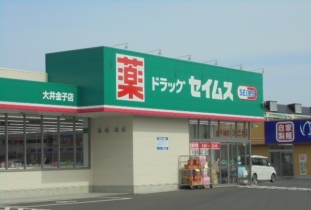 セイムス大井金子店