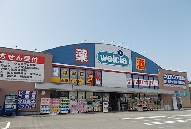 ウエルシア国府津店