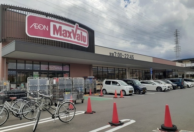 マックスバリュ南足柄岩原店