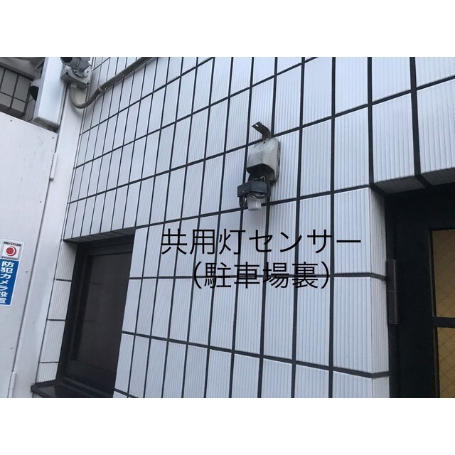 共用灯センサー(駐車場裏)