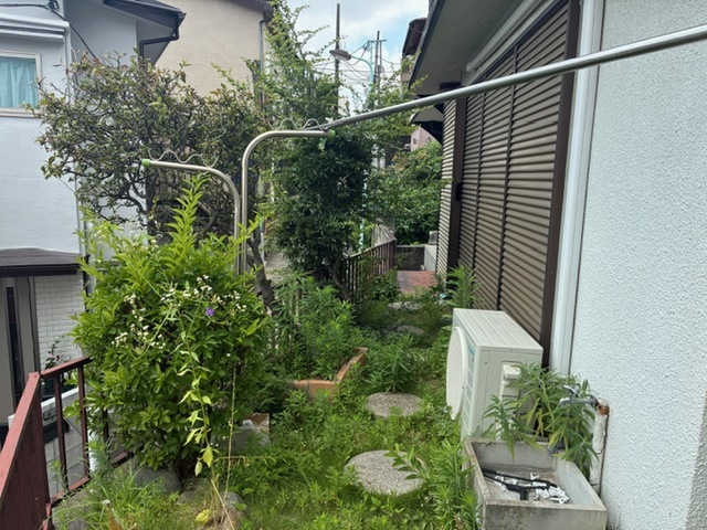 外干し可