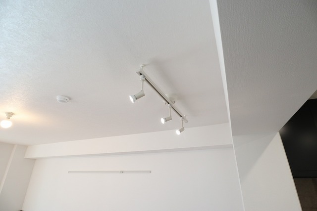 LDKにライティングレール照明