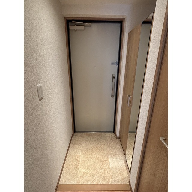 大型ミラーシューズボックス付き
