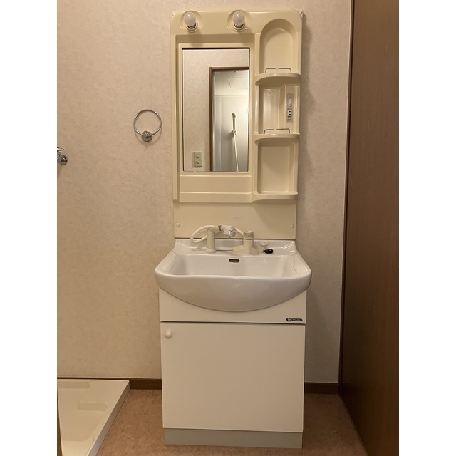 シャンプードレッサー