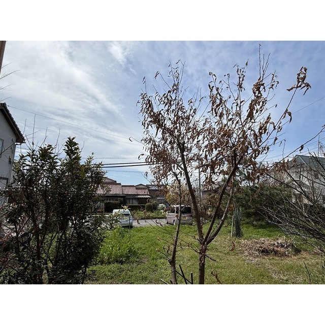 ベランダからの眺望