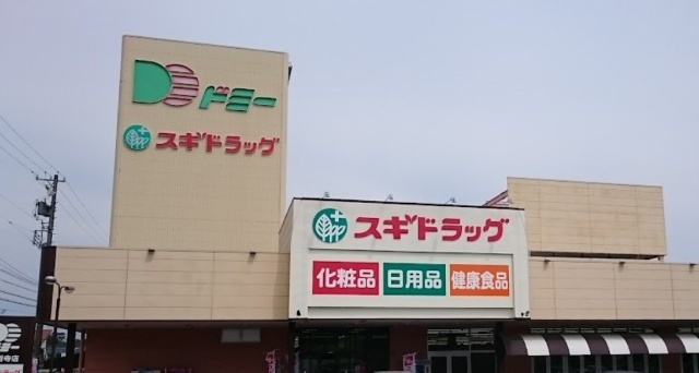 スギドラッグドミー大樹寺店