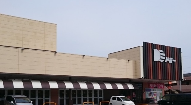 ドミー大樹寺店